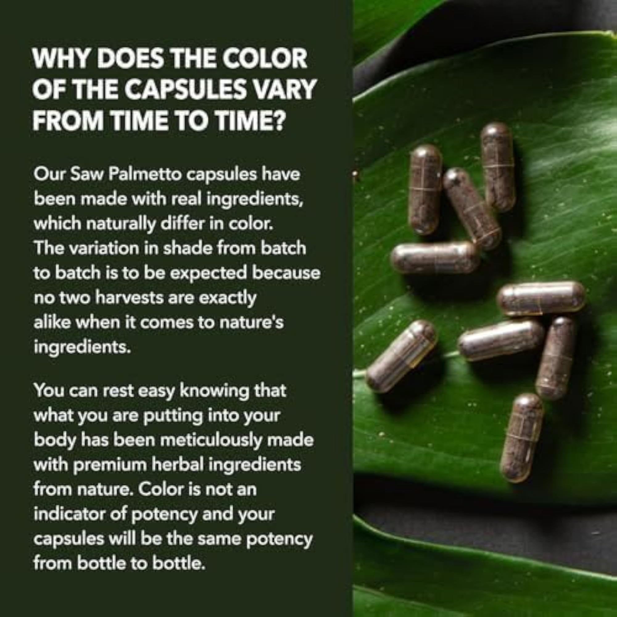 Saw Palmetto for Prostate Health Supplement