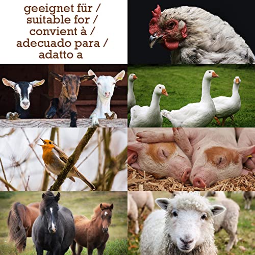 Leinsamen Leinsaat Naturbelassene Leinsamenkörner Einzelfuttermittel Flachssamen ganze Körner Wärmekissen Kissen 15 kg Futterzusatz Pferde Vögel Geflügel DML