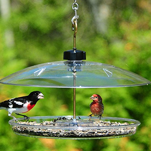 Droll Yankees Bird Feeder, Platform Cardinal Bird Feeders with Roof Cover, 13 Inch Diameter, Clear, CPF-M - Thumbnail 3