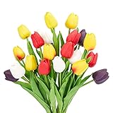 Color colorido: este tulipán hecho por el hombre tiene un total de 5 colores diferentes, que incluyen blanco, púrpura, rojo y dos colores amarillos y múltiples diferentes, muy hermosos, como una belleza en ciernes.