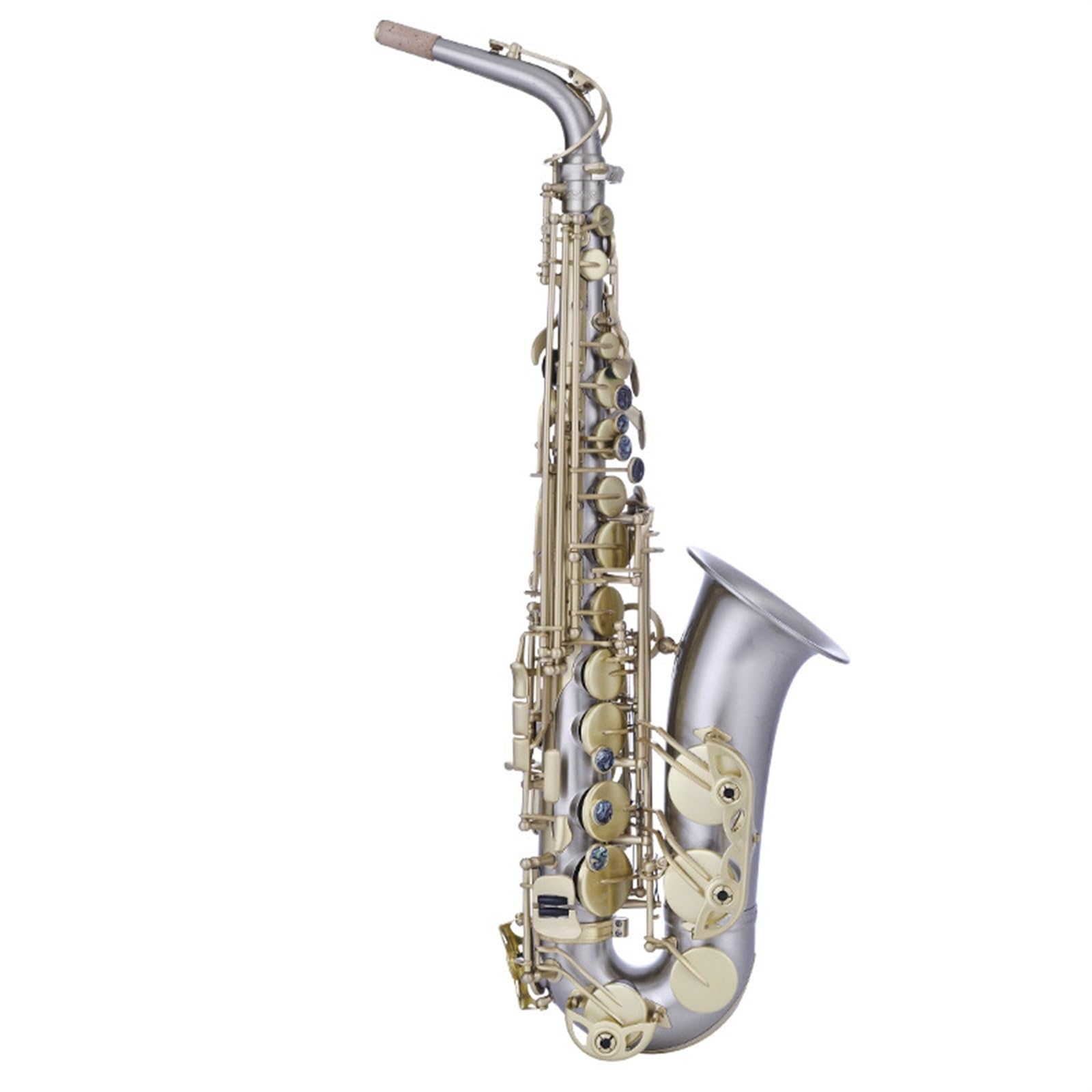 Saxofón Alto En Mi Bemol Para Principiantes En Instrumentos De Viento. Examen De Interpretación Y Calificación Profesional