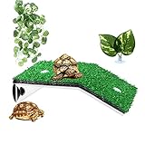 CHSEEO Reptilien schwimmende Plattform, Schildkröte Sonnenbad Plattform, Aquarium Terrarium Ornament mit Rampe Ladder Terrarium Tank Zubehör, für kleine Haustiere Sonnenbaden Ruhe Spielen