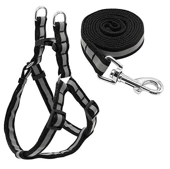 Smart Pups Nylon Puppy Harness Reflected Harness for Dogs Colour May Very ( Pack of 1) (B0BVVXJJ4H) Amazon Price History, Amazon Price Tracker