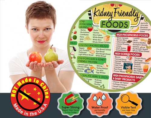 Image of Kidney Friendly Food List Chart Magnet - Renal Diet & Kidney Disease