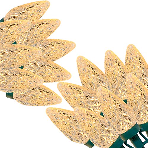 C9 Outdoor Christmas Lights 2 Pack 31ft 50 LED,String Lights Connectable Commercial Grade Outdoor Indoor Xmas Decorative Light Strand for Christmas Trees Garden Patio Parties Decor Warm White