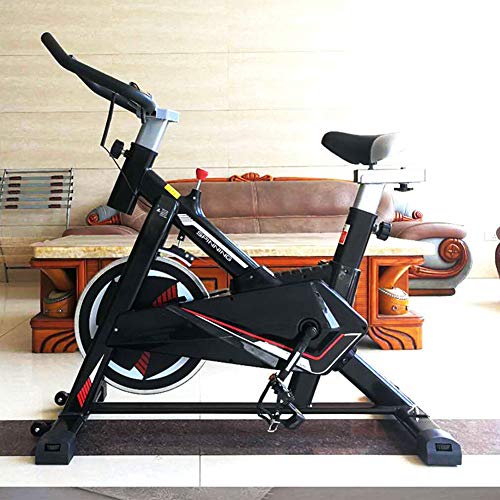 ZIJIAGE Home Exercise Bike, Spin Fitness Equipment Exercise Bike Indoor Weight Loss Equipment Pedal Bike Commercial Gym for Men Women Flywheel Weight 10Kg