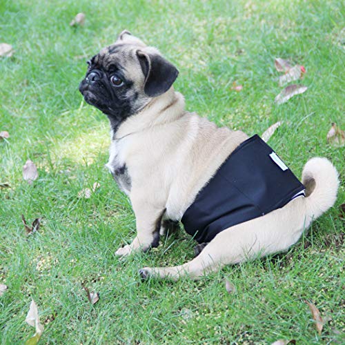 Image of Wegreeco Washable Male Dog Belly Wrap - Pack of 3 - (Gold,Black,Grey,X-Small)