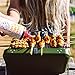 Bachan's - Japanese Barbecue Sauce - Hot & Spicy, 16 Oz, Small Batch, Non GMO, No Preservatives, Vegan and BPA free. Condiment for Wings, Chicken, Beef, Pork, Seafood, Noodle Recipes, and More