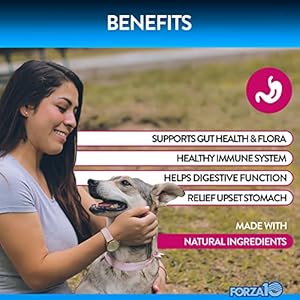 Forza10 Dog Probiotics and Digestive Enzymes Chews Supplements, Duck Flavor Probiotics for Dogs Digestive Health and Gut, Pet Probiotics for Dogs with Diarrhea, Dog Gas Relief, Upset Stomach, 90 Ct.
