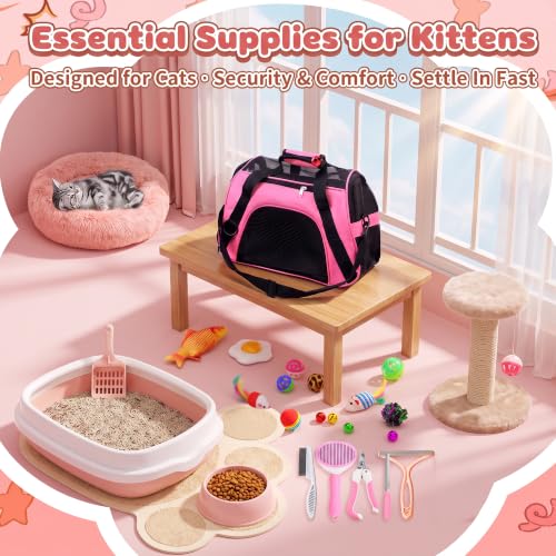 Kitten Starter Kit - 37 Pcs of Cat Essentials for Indoor Kittens - Image 2