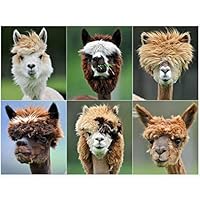 絵画 ARUPAKA 51HiRAcuYmL._SS200_.jpg