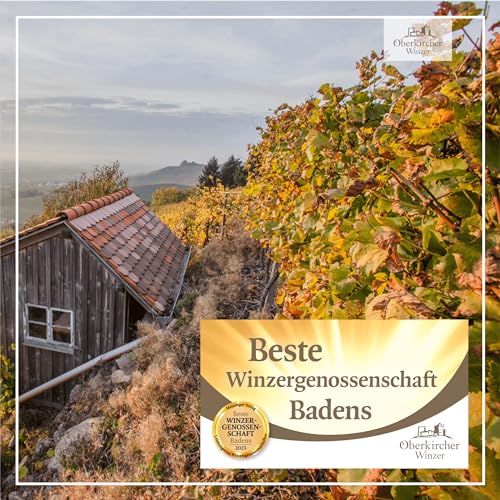 Oberkircher Winzer Williams-Christ Birnenbrand - WEIN & GEIST - edler Obstbrand (42% vol.) Williams-Birne doppelt gebrannt & ohne Zusatz künstlicher Aromen - aus dem Schwarzwald (1 x 0,5l)