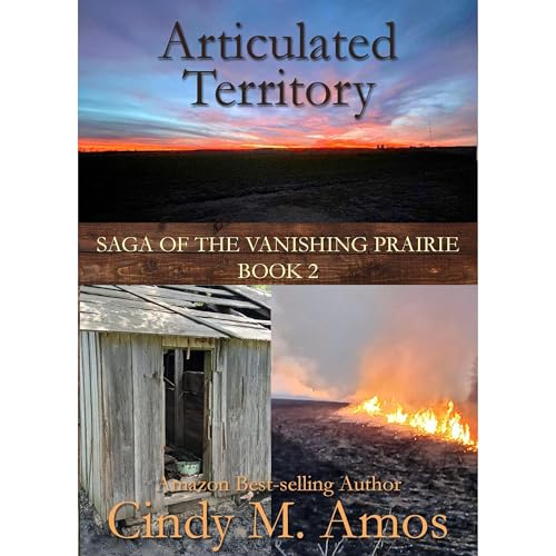 Articulated Territory Audiolibro Por Cindy M. Amos arte de portada