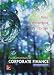 Fundamentals of Corporate Finance with Connect Access Card