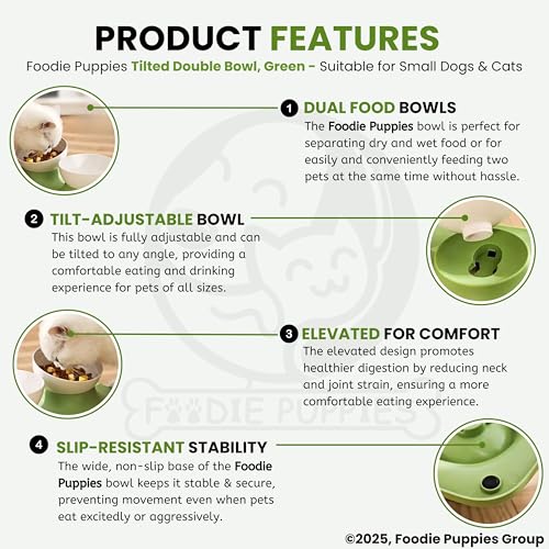 Image of Foodie Puppies Cat Food Bowl with Stand - (Green, 500ml Each) Double Food and Water Drinking Feeder Bowl with Non-Skid Base and Easy-to-Clean Design | Suitable for Cats, Puppies and Small Dogs