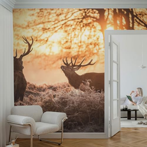 Revêtement mural intissé 312x219 cm décoration salon colle incluse et lavable - 4