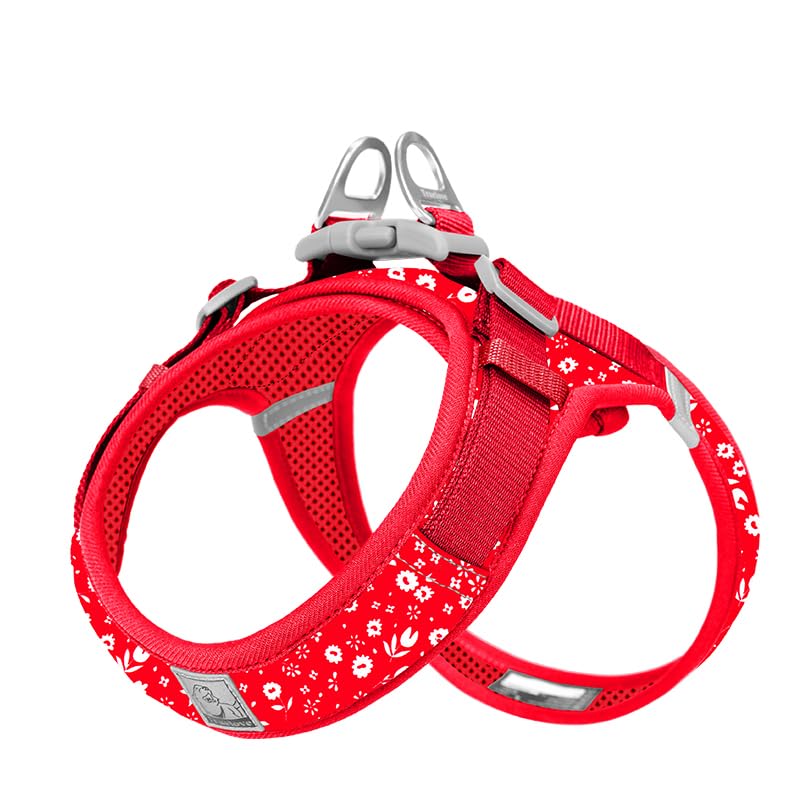 WINHYEPET Truelove Dog Harness Soft Mesh Reflective Breathable Step-In Dog Harness,Easy Adjustment Harness with Safety Buckle for Extra Small and Small Dogs Vest Harness TLH3013(Poinsettia,M)