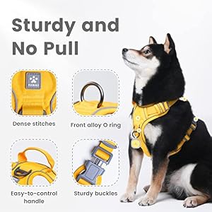 Pawaii Pineapple Yellow Dog Harness, XS, Soft Padded, No Pull, Adjustable, Breathable Mesh, Reflective Strips, Digital ID Tag, Animal Harness for Small Dogs Pawaii Pineapple Yellow Dog Harness, XS, Soft Padded, No Pull, Adjustable, Breathable Mesh, Reflective Strips, Digital ID Tag, Animal Harness for Small Dogs