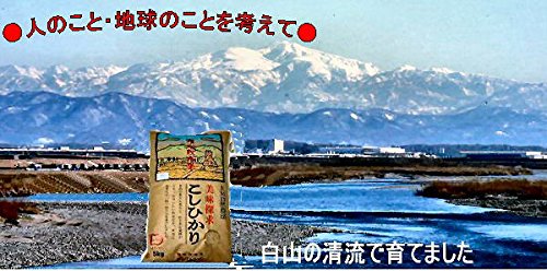 R7年産 はぜ架け 天日干し 減農薬 有機栽培 玄米