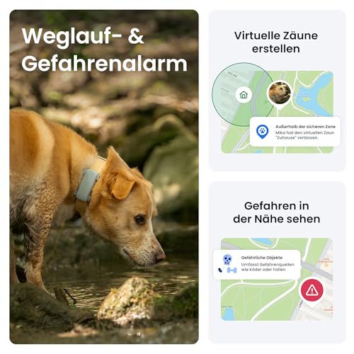 Tractive GPS Tracker Hund | 2025 Edition | Live-Ortung | Weglaufalarm | Aktivitätstracking | Gesundheitswarnungen | Bellverhalten | Empfohlen von Martin Rütter (Mint)
