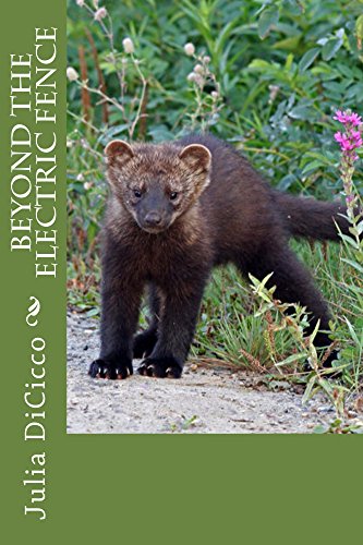 Beyond The Electric Fence