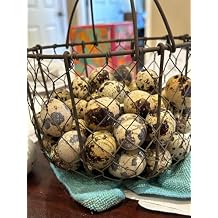 Jumbo Coturnix Quail Hatching Eggs, Organically Fed, Fresh Unwashed, 12 Count 1 DOZEN
