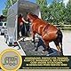 Magnesium Pferd hochdosiert Mag Paste 5X30ml Zusatzfutter Calm Anti Stress zur Entspannung Nerven Beruhigung Pferd I L Tryptophan Pferde Magnesium komplex I Horse Relax bei Angst Transport Silvester
