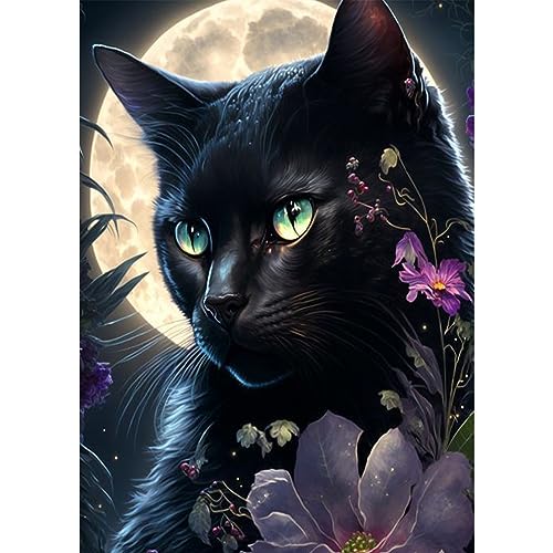 AIRDEA 5D Cat Diamond Painting Kits for Adults Beginners Round Full Kits DIY Flowers Diamond Art Kits for Kids Moon Night Diamond Painting by Number Kits Black Cat Gem Painting Art 12x16 inch