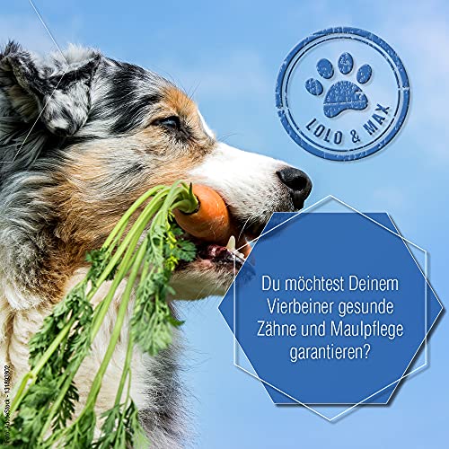 Lolo & Max DentaClean Futterspray - 130ml Flasche - Dentalspray für Hunde, Katzen & Co. - Zahnreinigung Hund - Gegen Mundgeruch - Dentalspray für Hunde Zahnstein