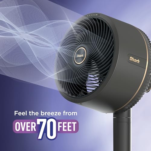 Shark FlexBreeze Corded & Cordless Fan
