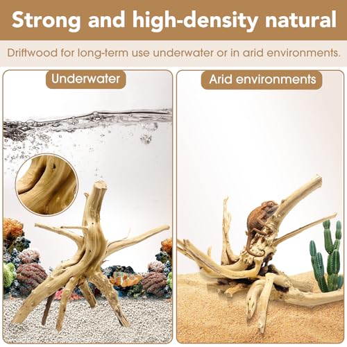 Image of Jorewood Natural Large Spiderwood Driftwood for Aquarium Decor Rptile Fish Tank Decoration Assort Branch 11-14'' 2 Pcs