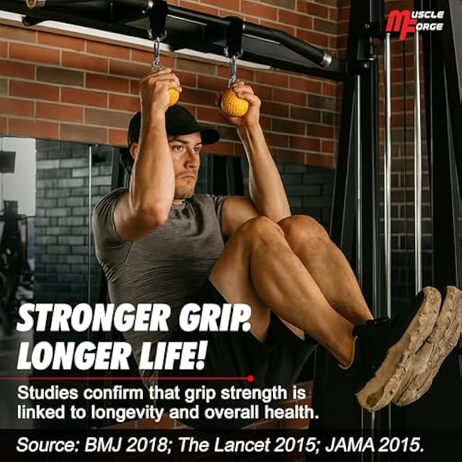 Training Grip Balls for Pull-Ups, Climbing, and Strength Training in the Gym or at Home