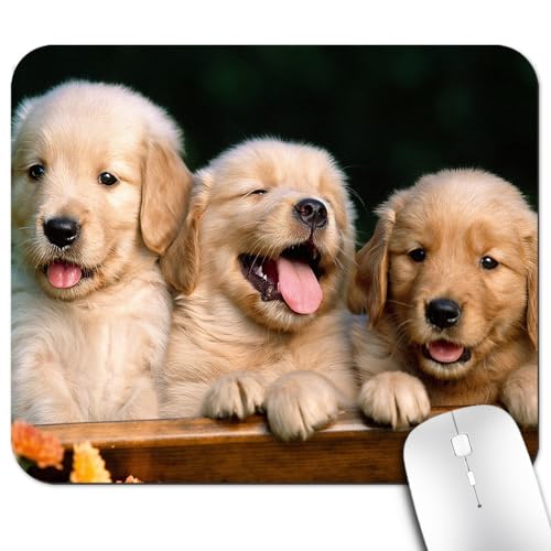Tapis de souris Golden Retriever rectangulaire antidérapant pour le bureau