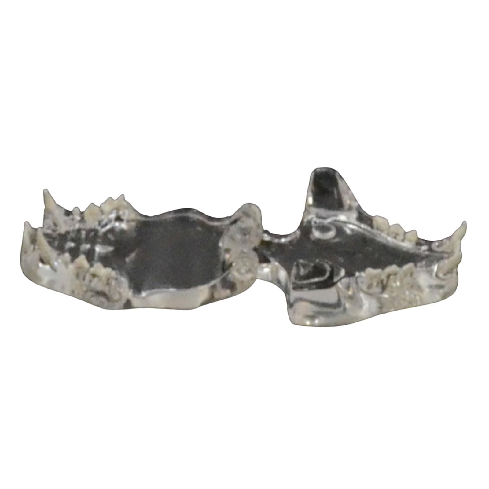 Clear Canine Cats Teeth Model Dentals Animals Orals Tooth Jaw Veterinary Office Educational Tool Teaching Model Supplies