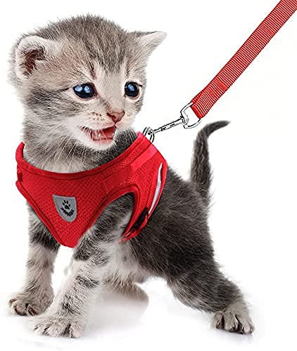 Image of Feimax Dog Harness and Leash Set, No-Pull Pet Vest Harness Soft Breathable Mesh Padded Chest Strap for Puppy and Cat, Reflective Adjustable Easy Control Harness for Small and Medium Dogs (S, Red)