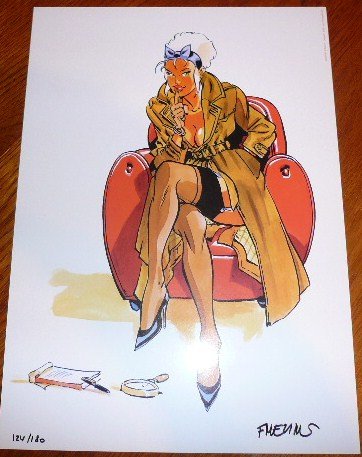 Affiche Meynet Enquêtrice format 21x29 cm pour valoriser votre mur