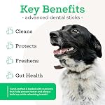 VetPro Complete Dr. Joseph's Advanced Dental Sticks with Prebiotics, 15 Sticks, Cleans Teeth, Freshens Bad Breath, and Supports Gut Health, Target Tartar and Plaque Build Up, Veterinarian Formulated - Image 2