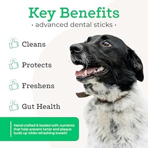 Dr Josephs vetpro complete advanced dental sticks with prebiotics 15 sticks cleans teeth freshens bad breath and supports gut health target tartar and plaque build up veterinarian formulated   cucciolini doodles
