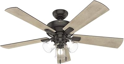 Hunter Indoor Ceiling Fan With Pull Chain Control Builder