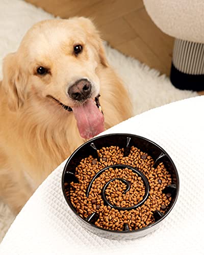 Kofpar Ceramic Slow Feeder Dog Bowl, Dog Bowl Slow Feeder Small Medium Large Breed, Anti-Gulping, Improve Pets Digestion, Healthy Eating Habit, Prevent Dogs From Overeating, Non-Slip Easy To Clean 8In #TOP1