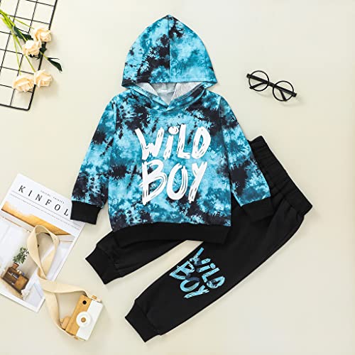 Toddler Baby Boy Dinosaur Clothes Long Sleeve Hoodie Sweatshirt Top Sweatpants Fall Winter Outfit Set2