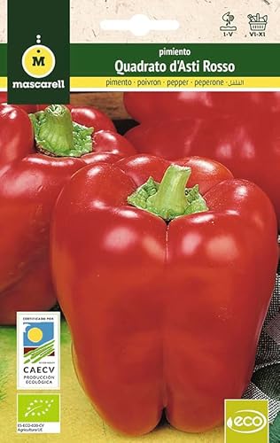Mascarell Semillas, PIMIENTO CUADRADO DE ASTI ROJO, Semillas Ecológicas, 1 Gramos