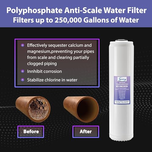Image of iSpring F2WGB22BDS 4.5 inch x 20 inch 2-Stage Whole House Water Filter Replacement Pack, Reduces Chlorine, Scale, Corrosion, Fits WGB22B-DS