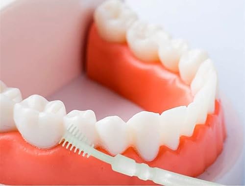 Miniatura 2 de Little Dreams Products Palillo de dientes cepillado de doble cabeza, cepillo interdental para dentaduras, plástico suave, cuidado bucal de 2.4