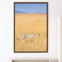 Framed Canvas Wall Art Cheetah Animals Cheetah Dramatic Living Room Multicolor Photography - 16x24 inches