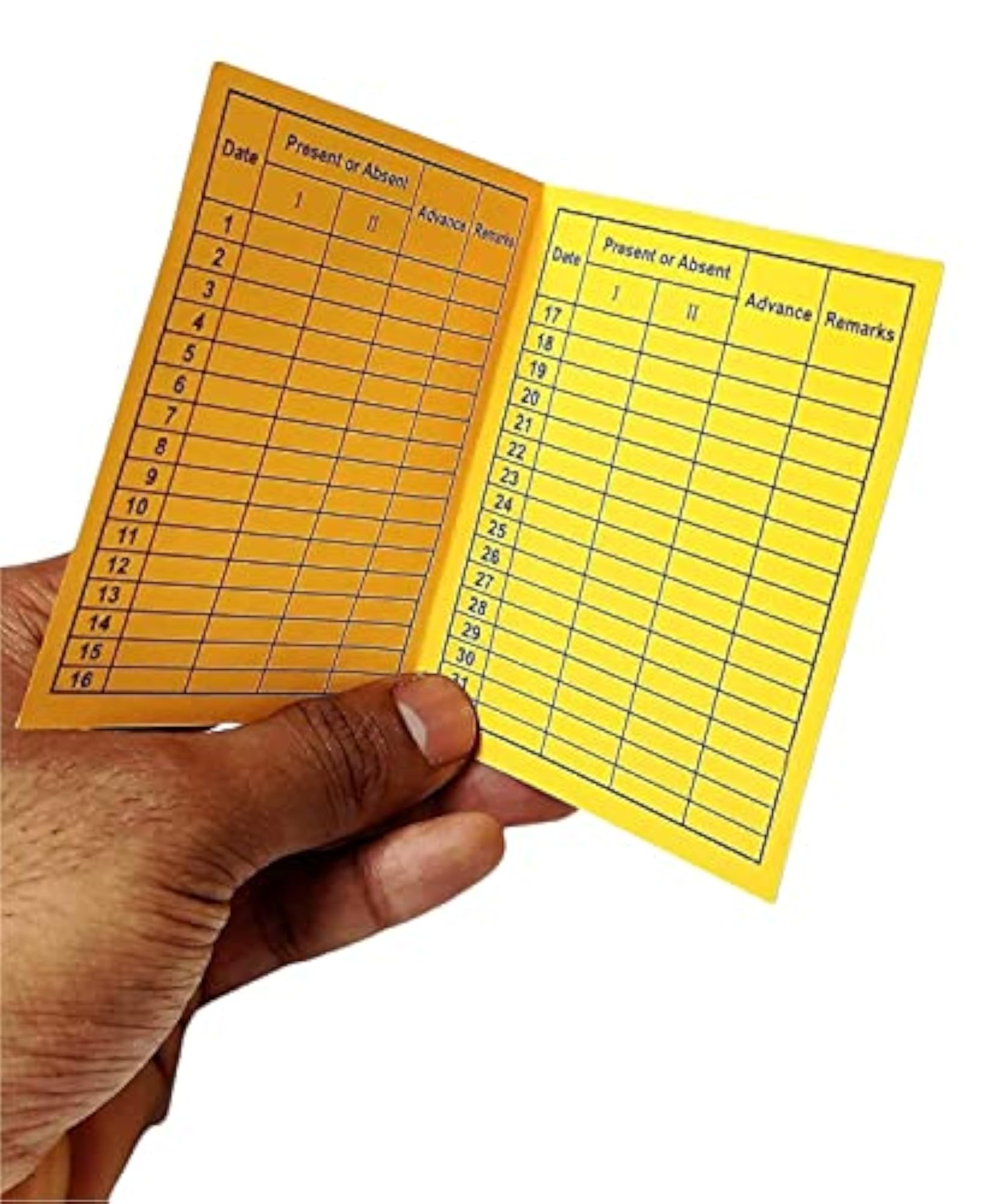 Daily Attendance Report for Payroll