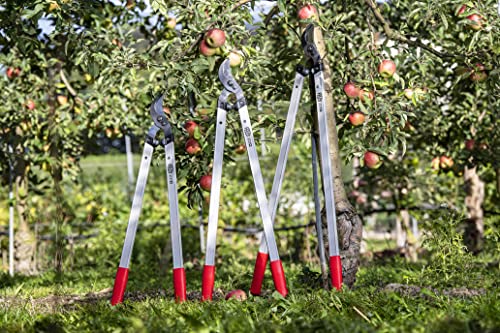 Felco Model 221-70 Long reach Loppers Straight Cutting Head 45mm Cut Lightweight 70cm Handles Shock Absorbers Tree Surgeon Professional Gardener Forestry Precision Manufacturing Process Swiss Made - Image 2
