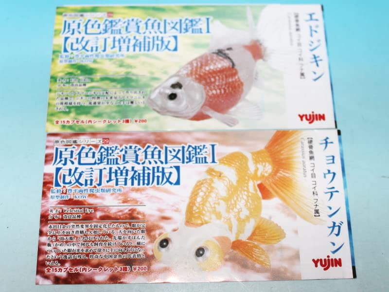 YUJIN 原色観賞魚図鑑 金魚 ガチャガチャ フィギュア 13種 全種 コンプ Amazon | 原色観賞魚図鑑Ⅰ 全13種(内シークレット2種