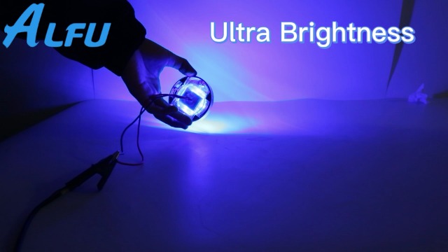 Amazon.com: ALFU 4Pcs 12V Blue LED Boat Navigation & Courtesy