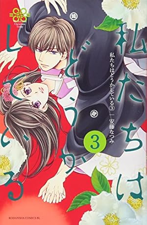 私たちはどうかしている(3) (Be・Loveコミックス) | 安藤 なつみ |本